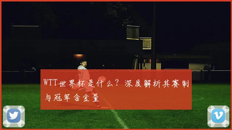WTT世界杯是什么?深度解析其赛制与冠军含金量