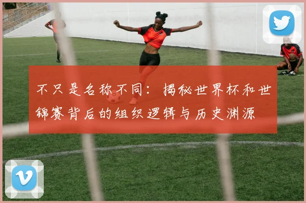 不只是名称不同：揭秘世界杯和世锦赛背后的组织逻辑与历史渊源
