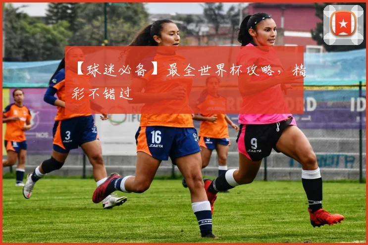 【球迷必备】最全世界杯攻略，精彩不错过