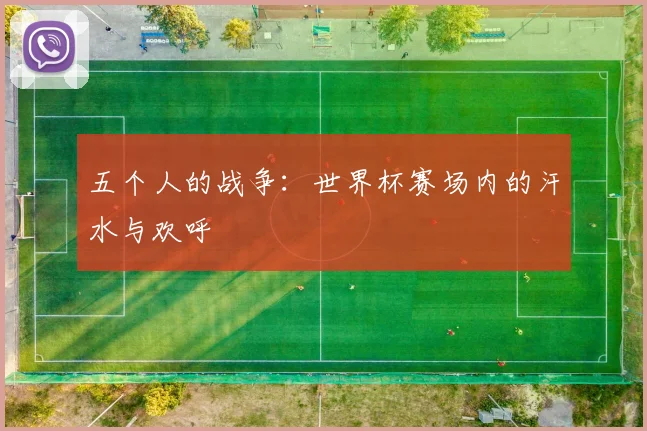 五个人的战争:世界杯赛场内的汗水与欢呼