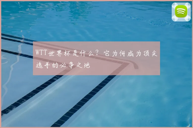 WTT世界杯是什么?它为何成为顶尖选手的必争之地
