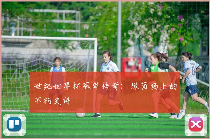 世纪世界杯冠军传奇：绿茵场上的不朽史诗