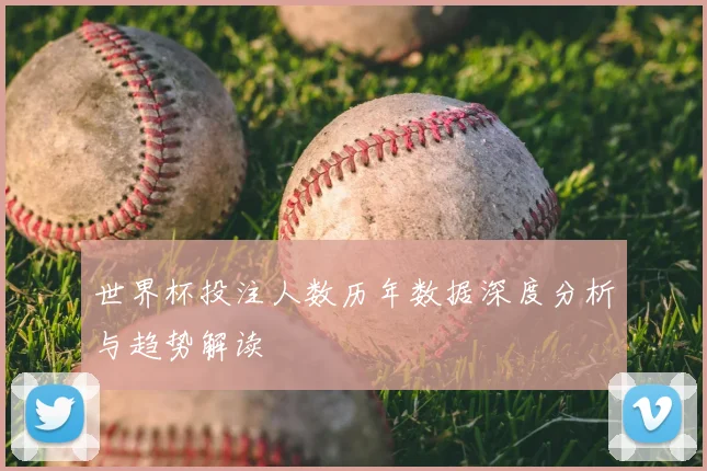 世界杯投注人数历年数据深度分析与趋势解读