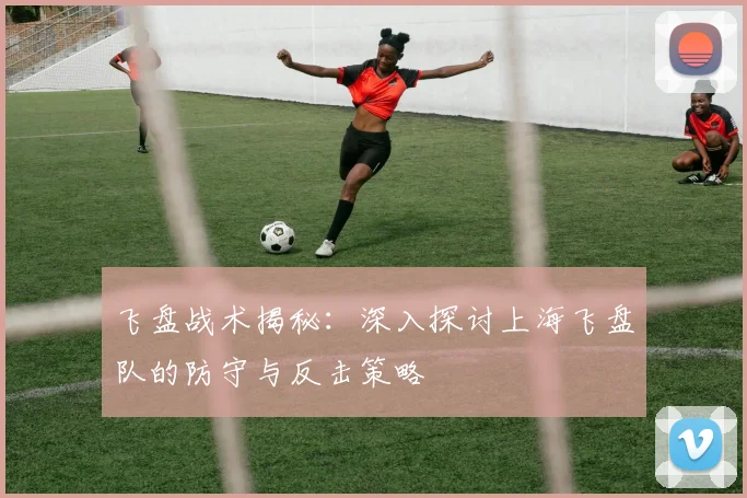 飞盘战术揭秘：深入探讨上海飞盘队的防守与反击策略