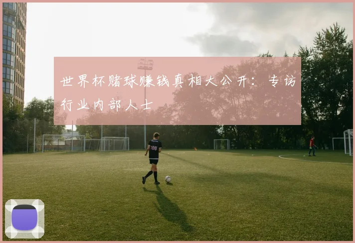 世界杯赌球赚钱真相大公开:专访行业内部人士