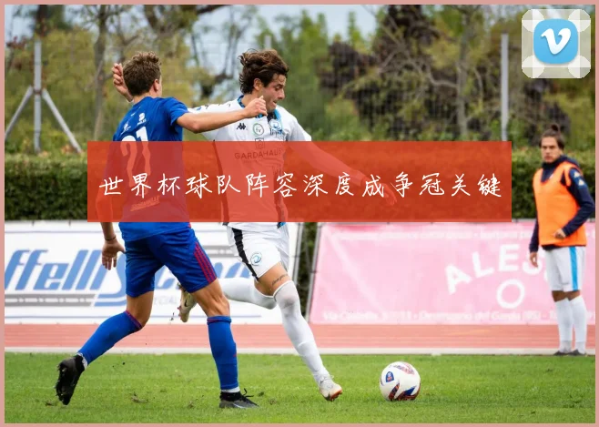 世界杯球队阵容深度成争冠关键