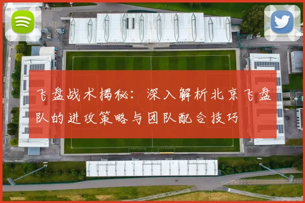 飞盘战术揭秘:深入解析北京飞盘队的进攻策略与团队配合技巧