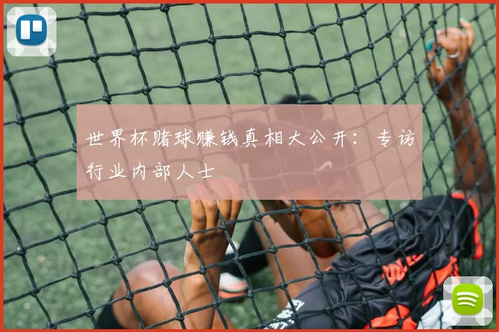 世界杯赌球赚钱真相大公开:专访行业内部人士
