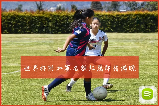 世界杯附加赛名额归属即将揭晓